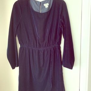 J.Crew Dress